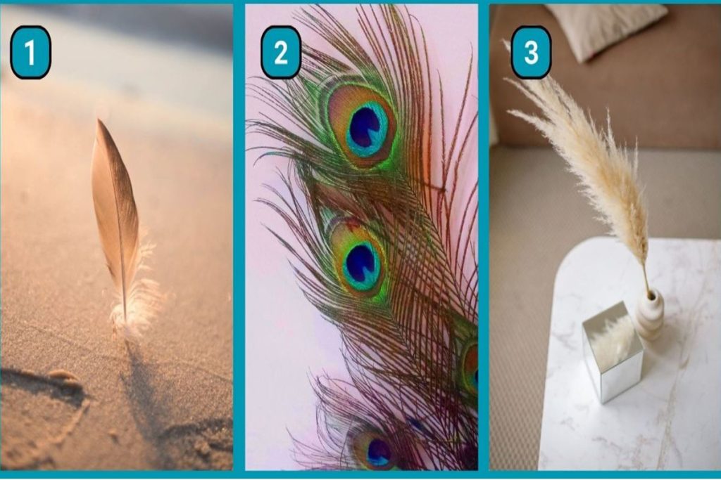 تست شخصیت شناسی