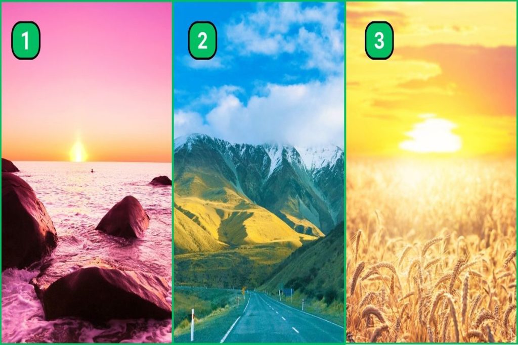 تست شخصیت شناسی