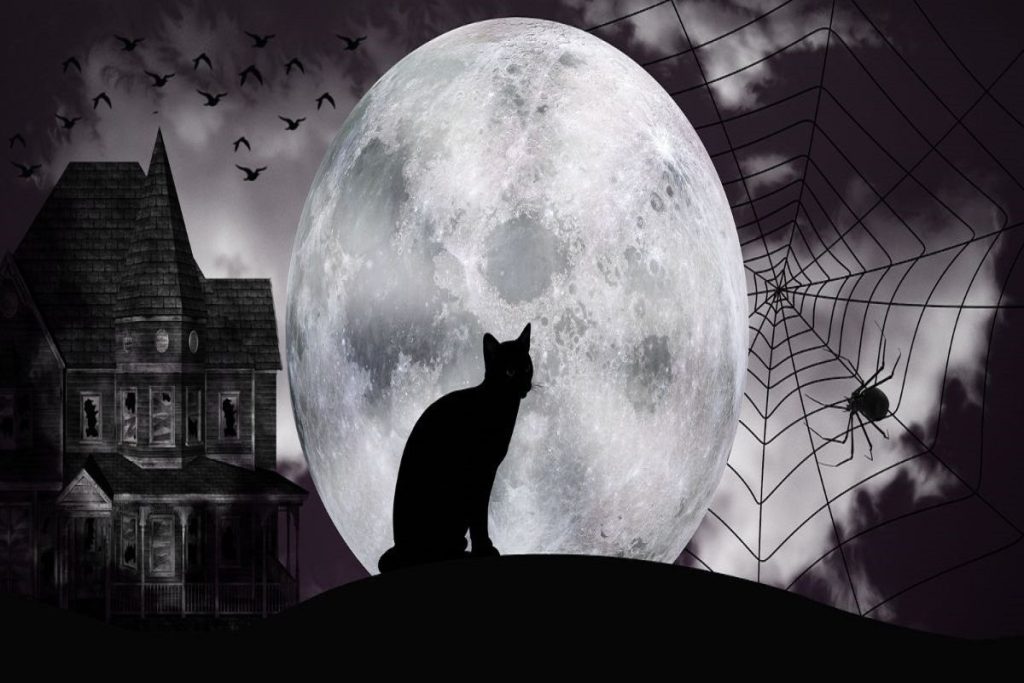 تست شخصیت شناسی