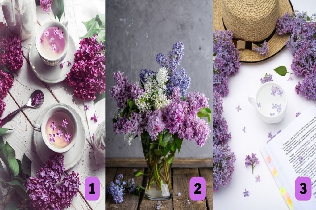 تست شخصیت شناسی