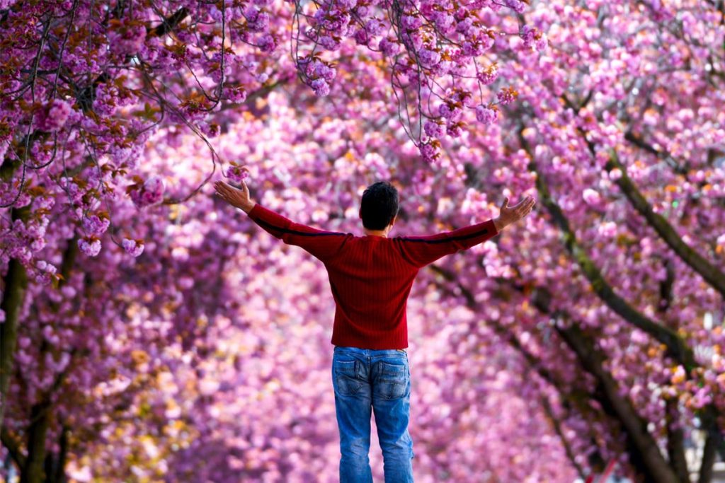 روانشناسی شخصیت