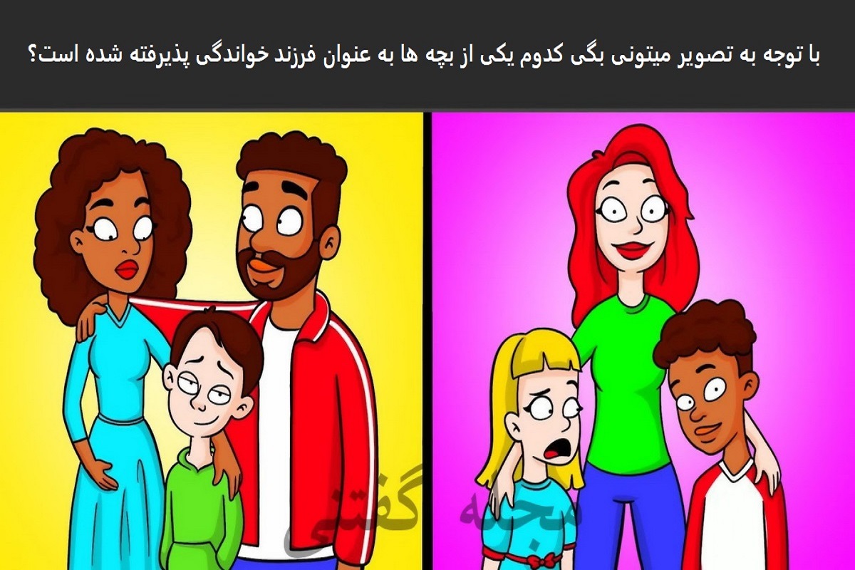 تست هوش