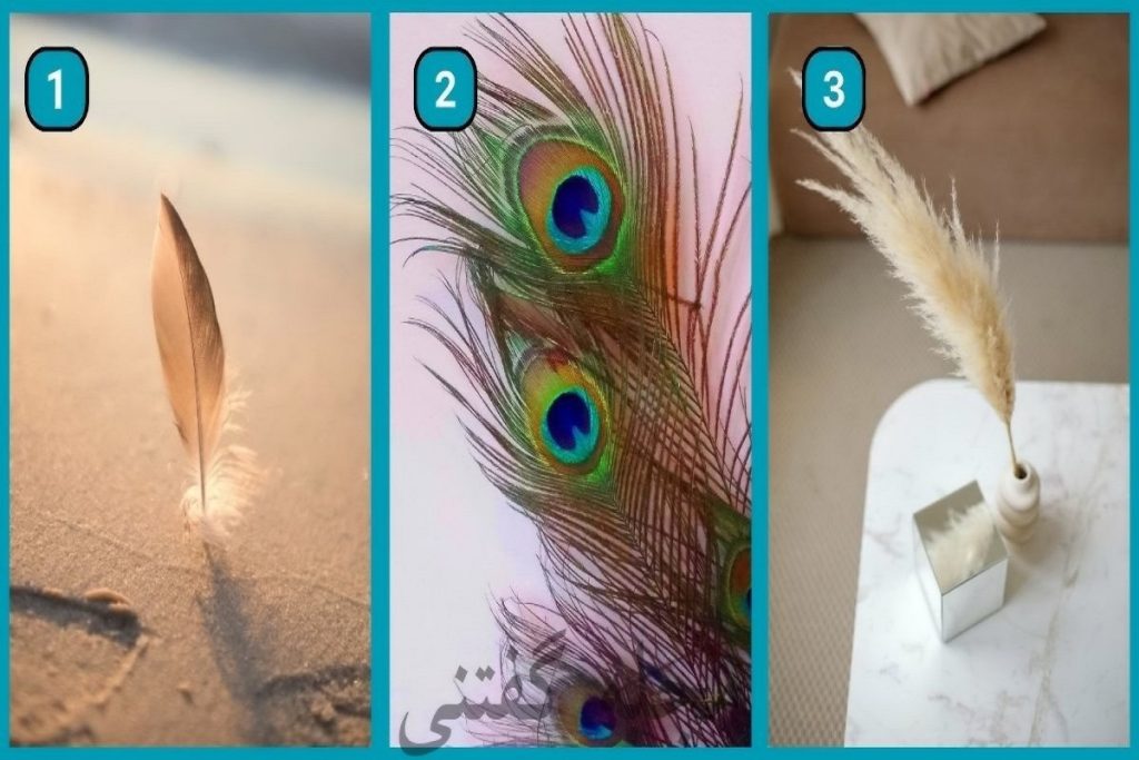 تست شخصیت شناسی