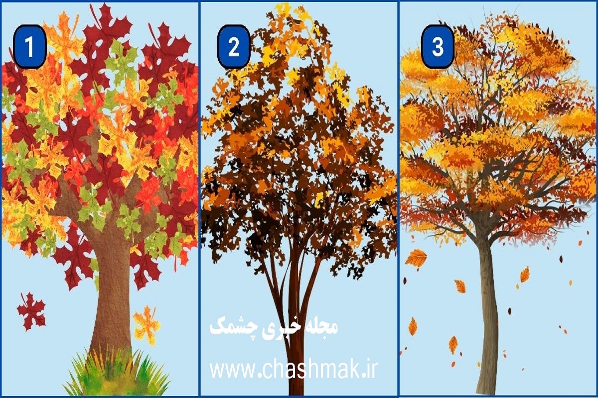 تست شخصیت شناسی