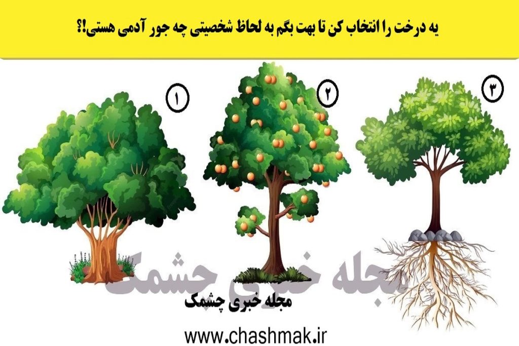 تست شخصیت شناسی