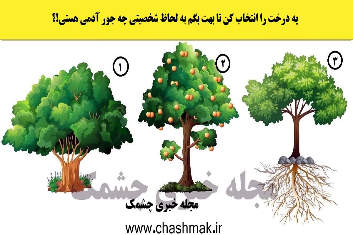 تست شخصیت شناسی