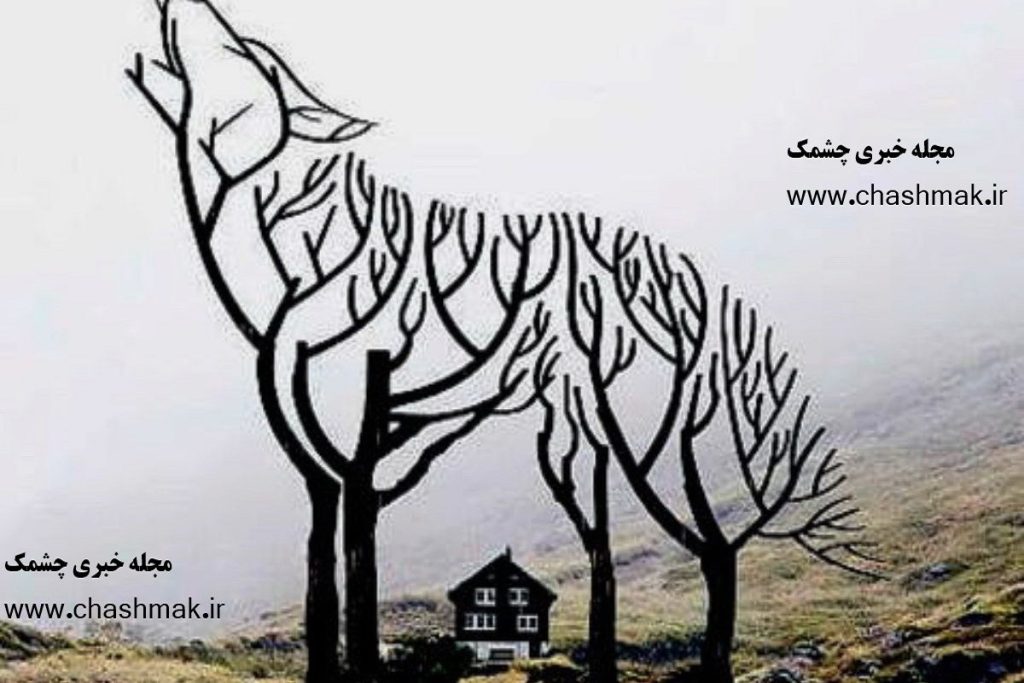 تست شخصیت شناسی