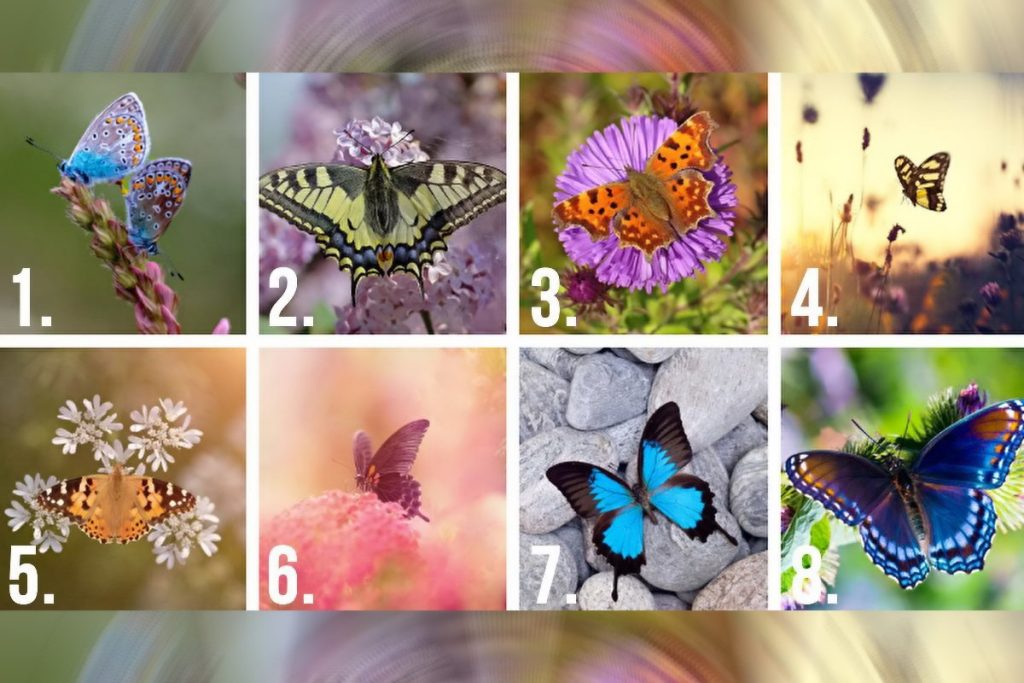 تست شخصیت شناسی