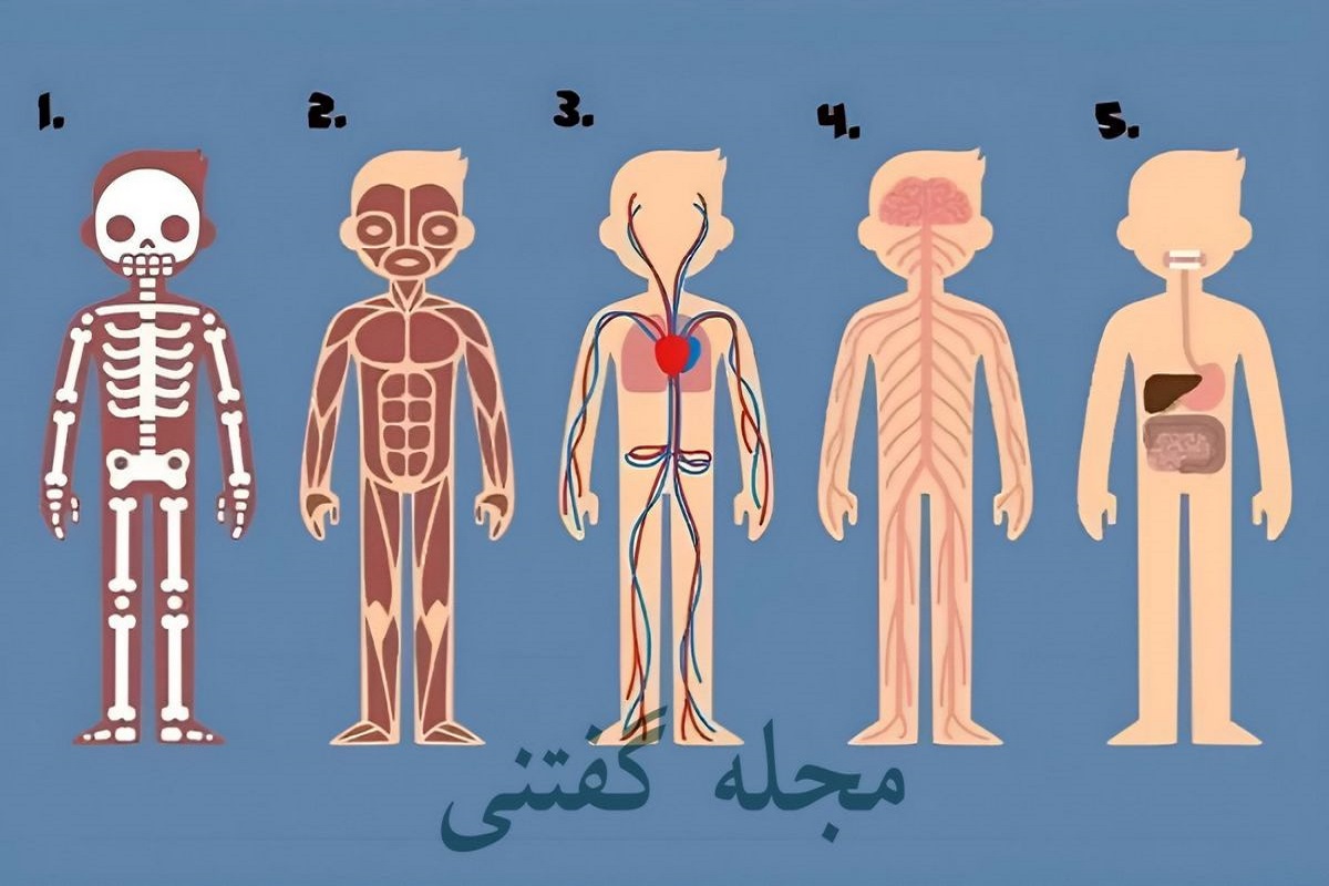 تست شخصیت شناسی