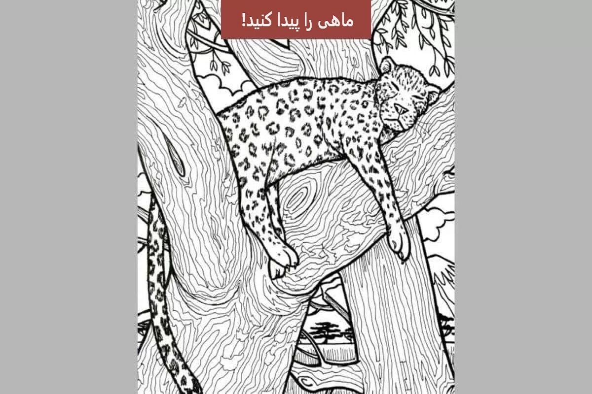 تست هوش