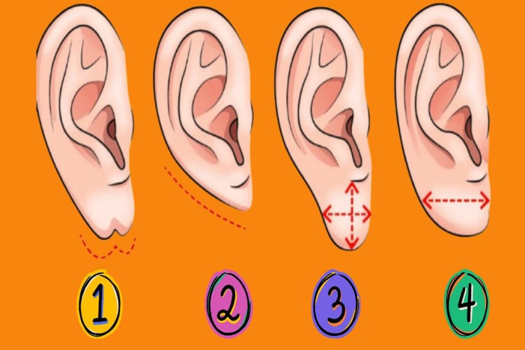 تست شخصیت شناسی