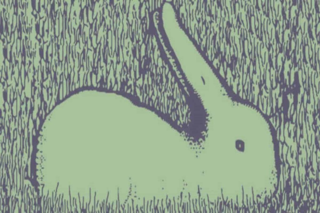 تست شخصیت شناسی