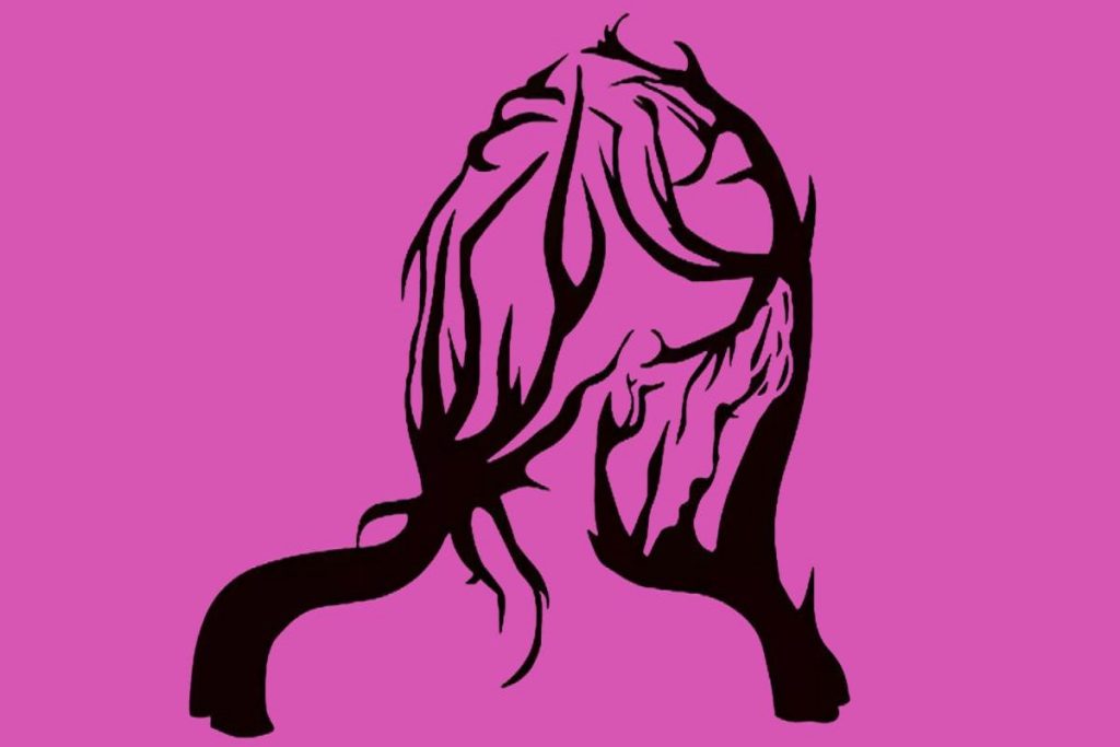 تست شخصیت شناسی