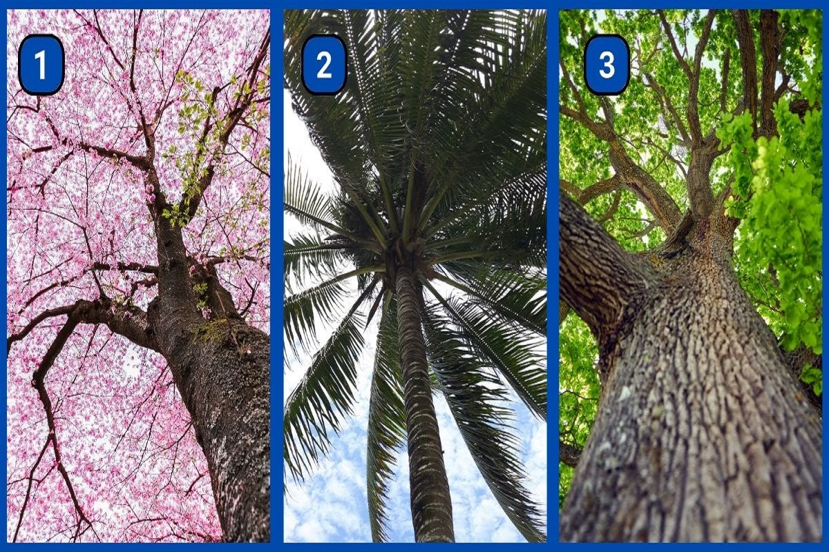 روانشناسی شخصیت