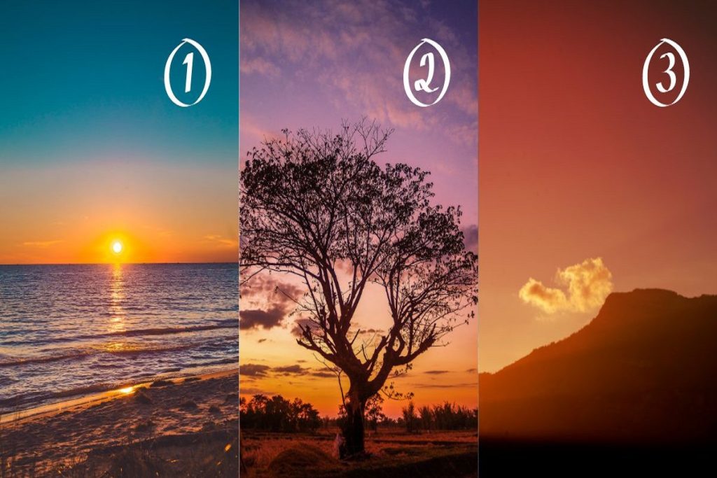 تست شخصیت شناسی