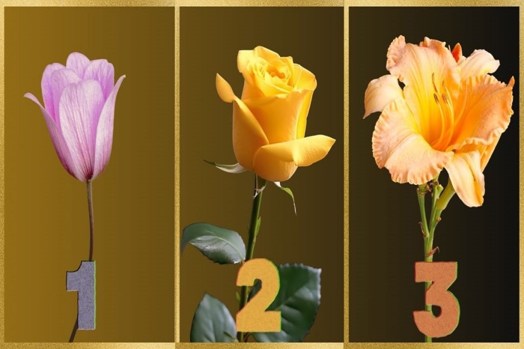 تست شخصیت شناسی