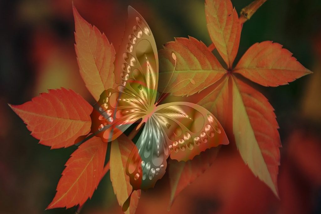 تست شخصیت شناسی