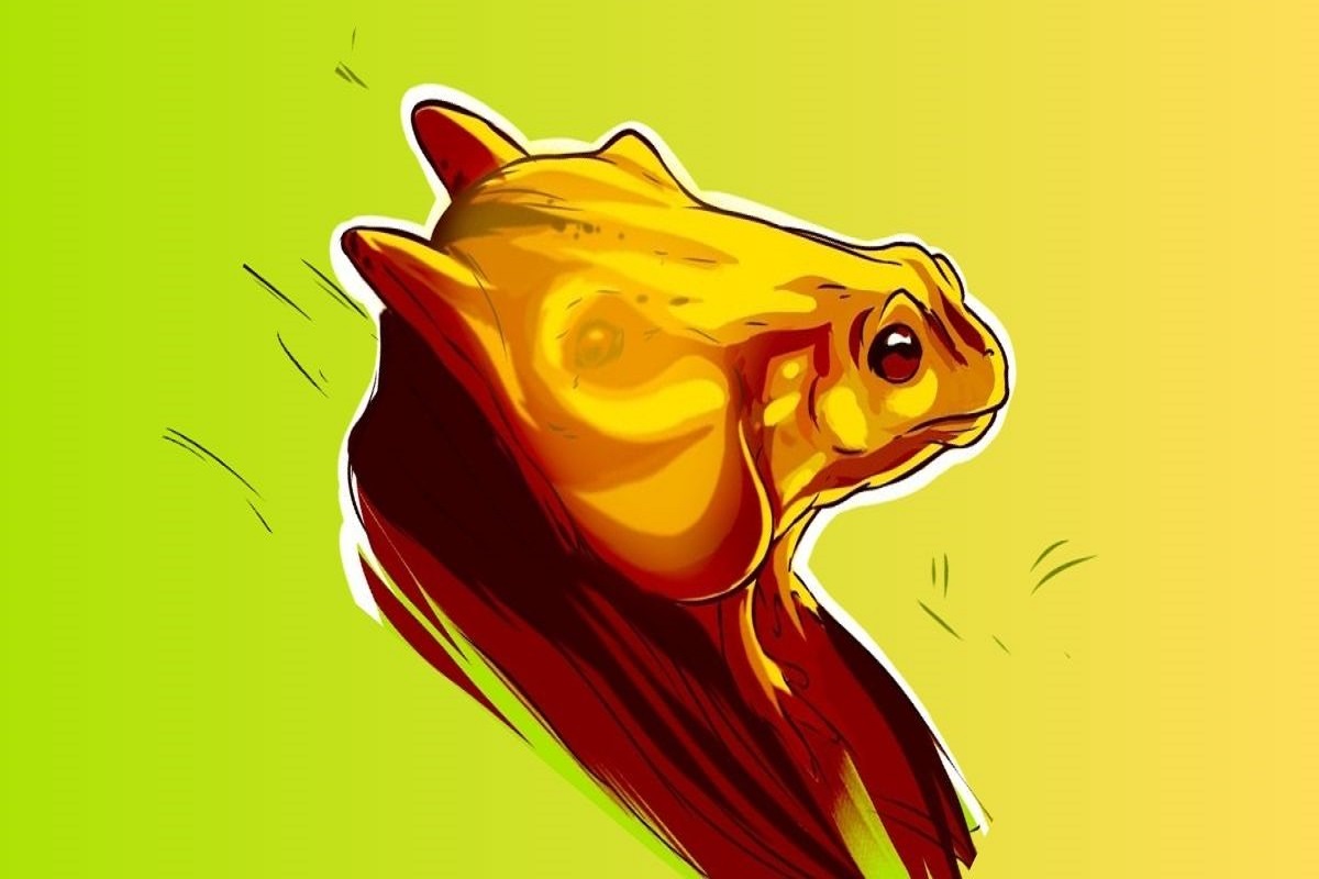تست شخصیت شناسی