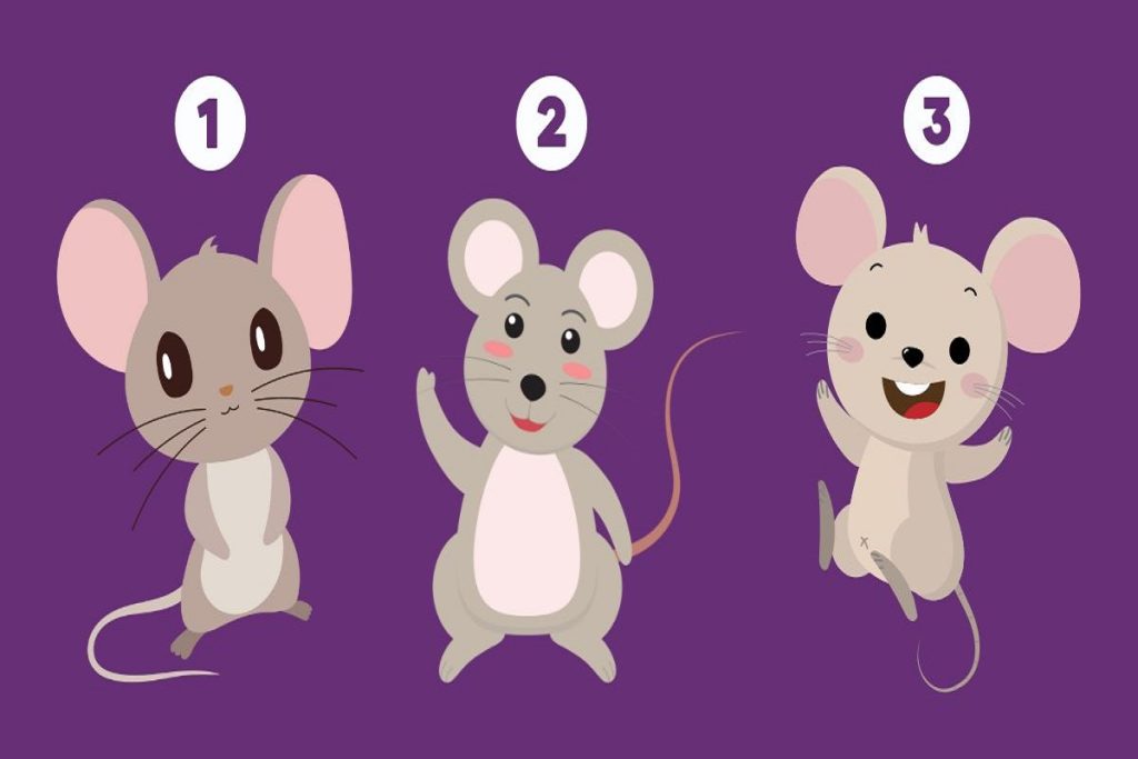 تست شخصیت شناسی