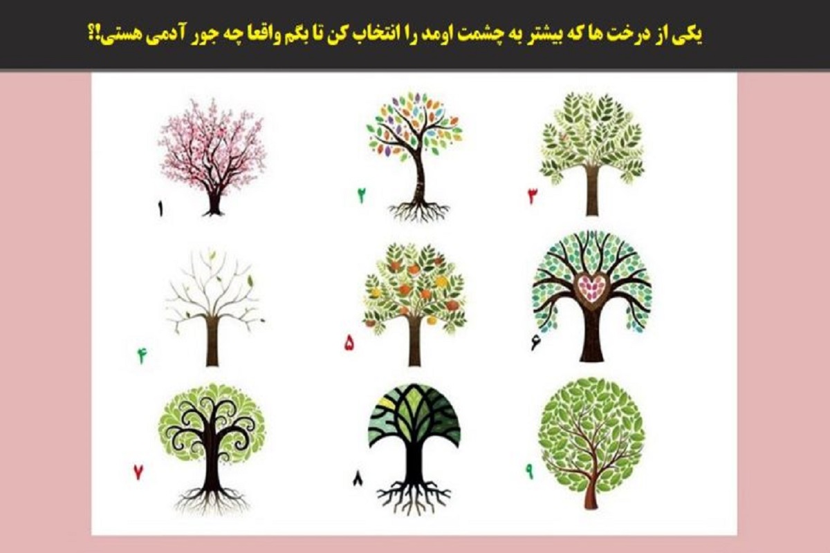 تست شخصیت شناسی