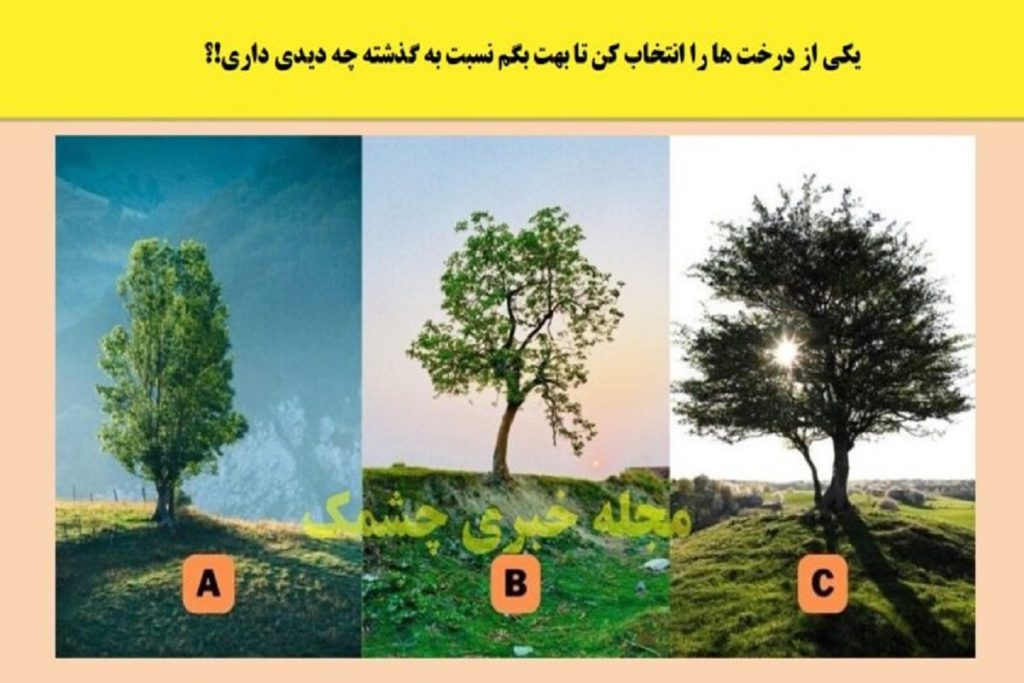 تست شخصیت شناسی