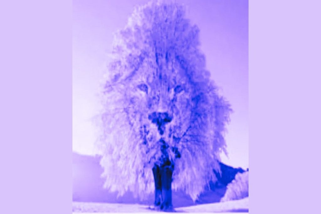 تست شخصیت شناسی