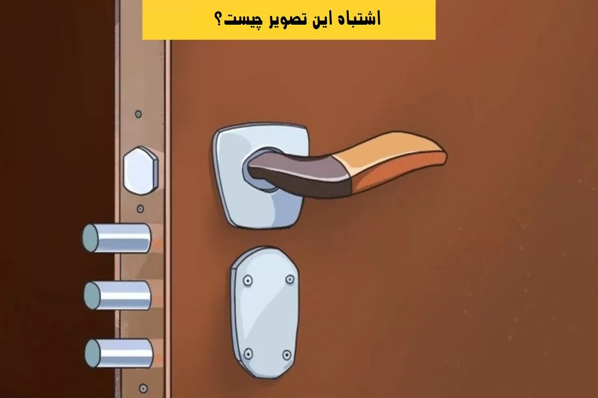 تست هوش