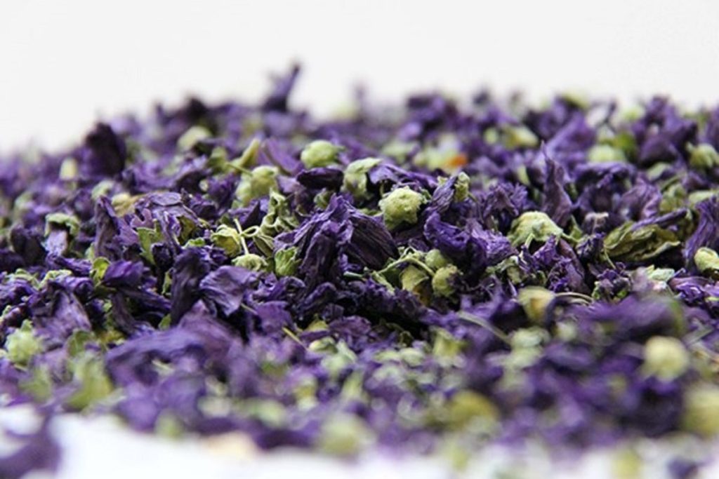 چرک خشک کن گیاهی