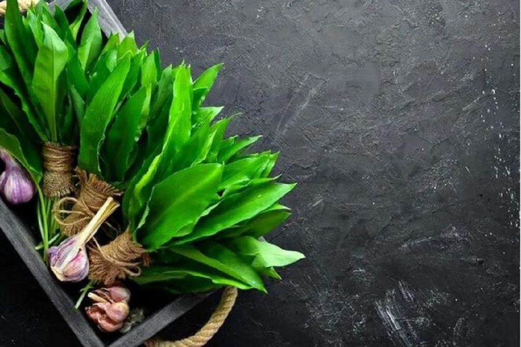 پادشاه منیزیم