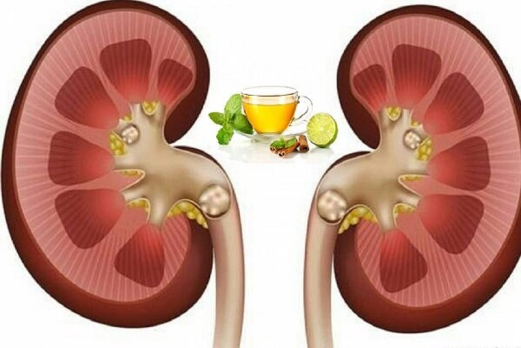تقویت کلیه و کبد