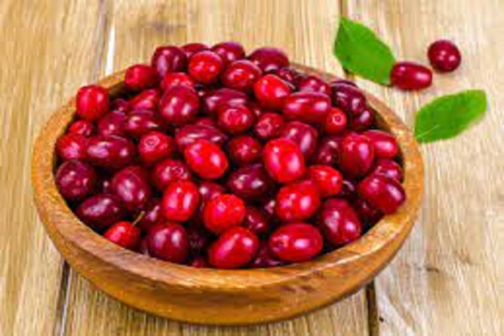 درمان کبد و محافظت قلب