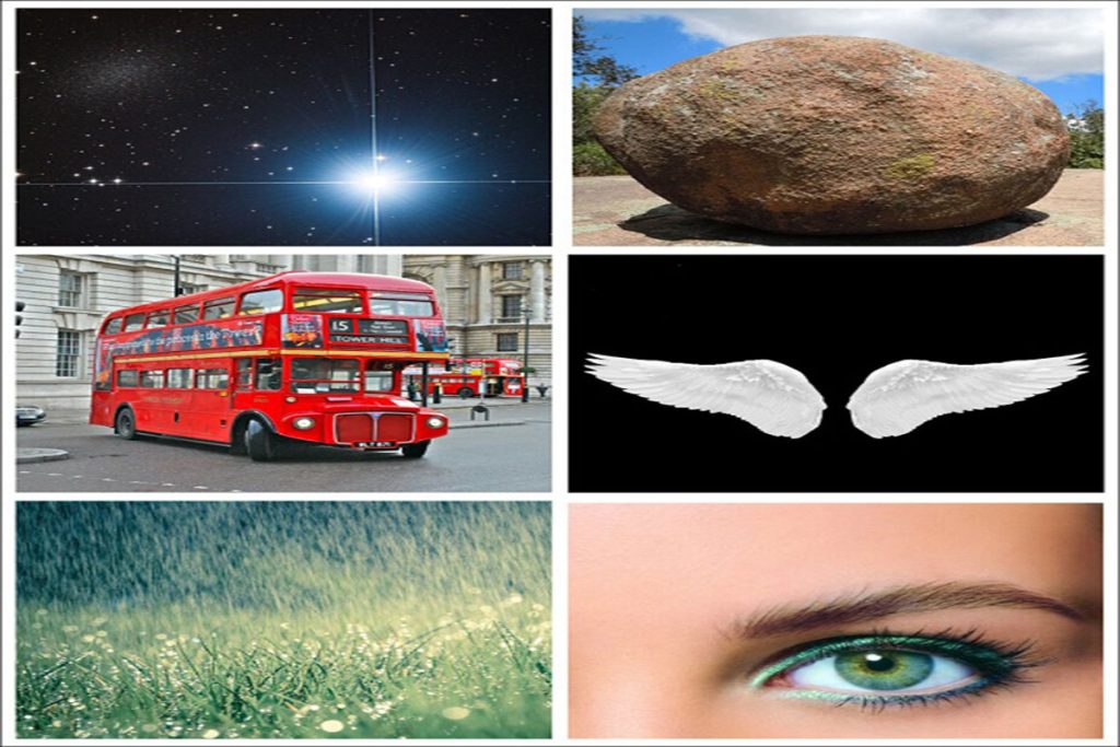 تست شخصیت شناسی