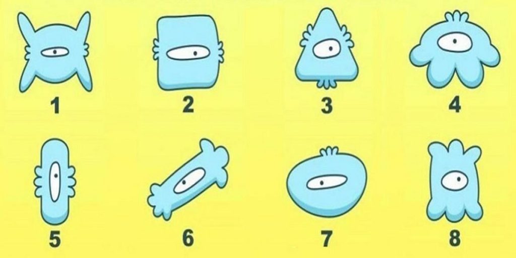 تست شخصیت شناسی