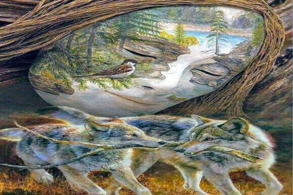 تست شخصیت شناسی