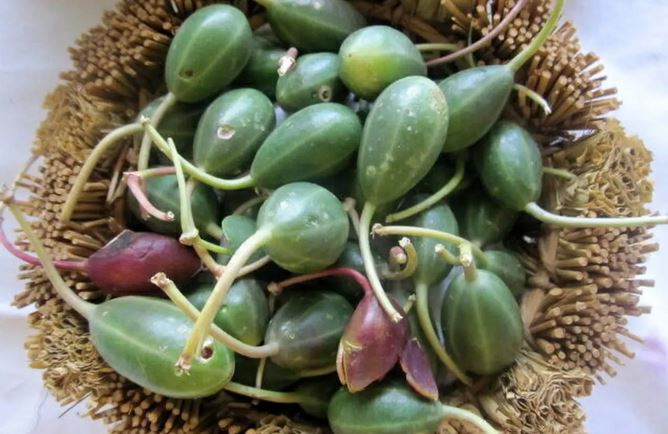 درمان درد عصبی