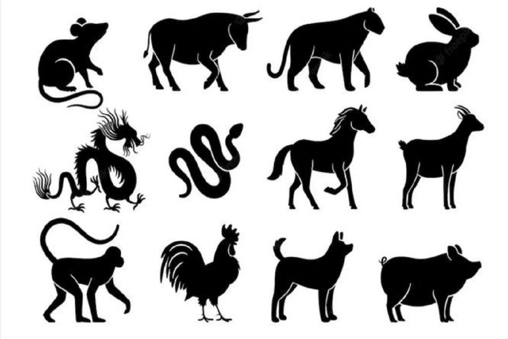 تست شخصیت شناسی