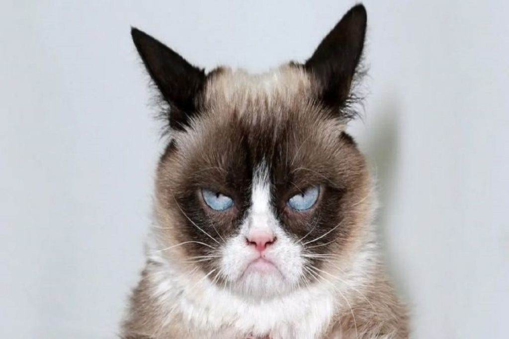 روانشناسی شخصیت