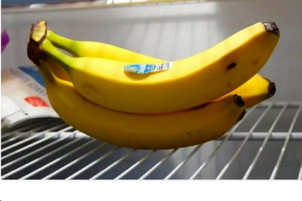 نگهداری موز