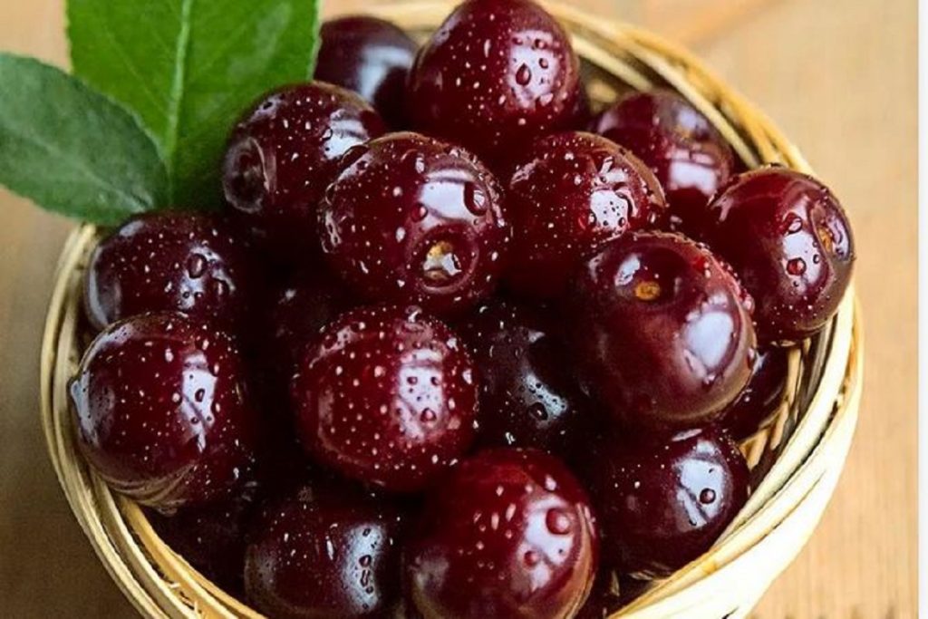 آهن و فولاد