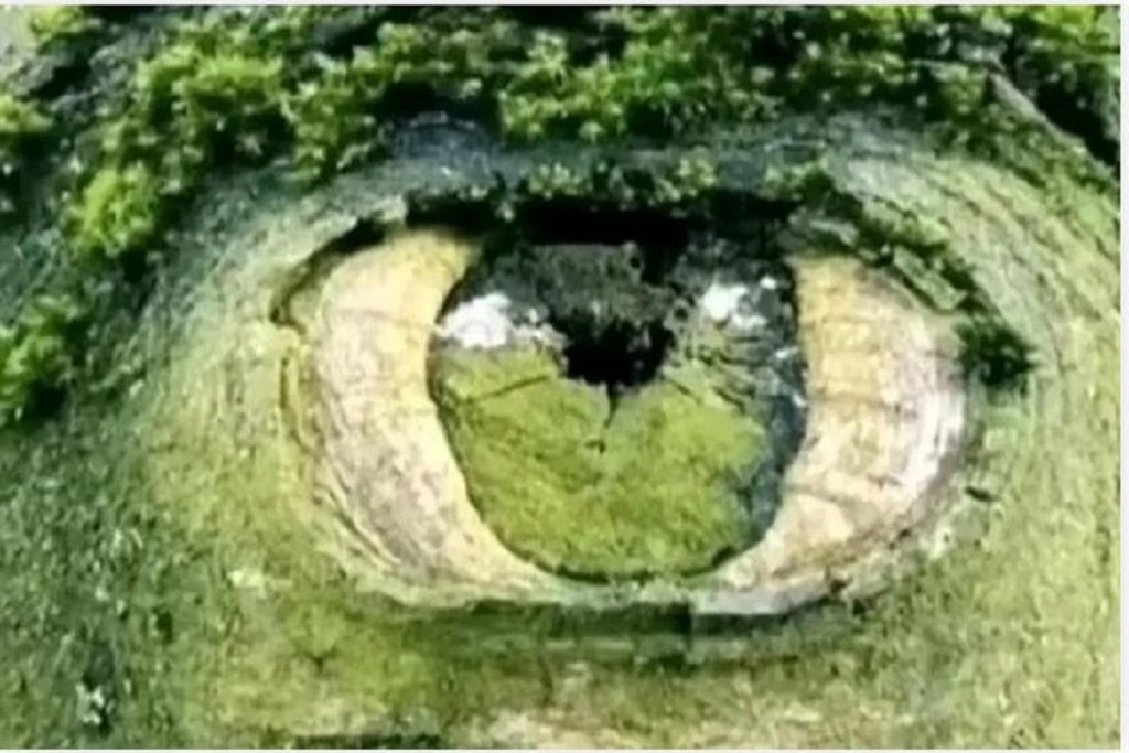 تست روانشناسی