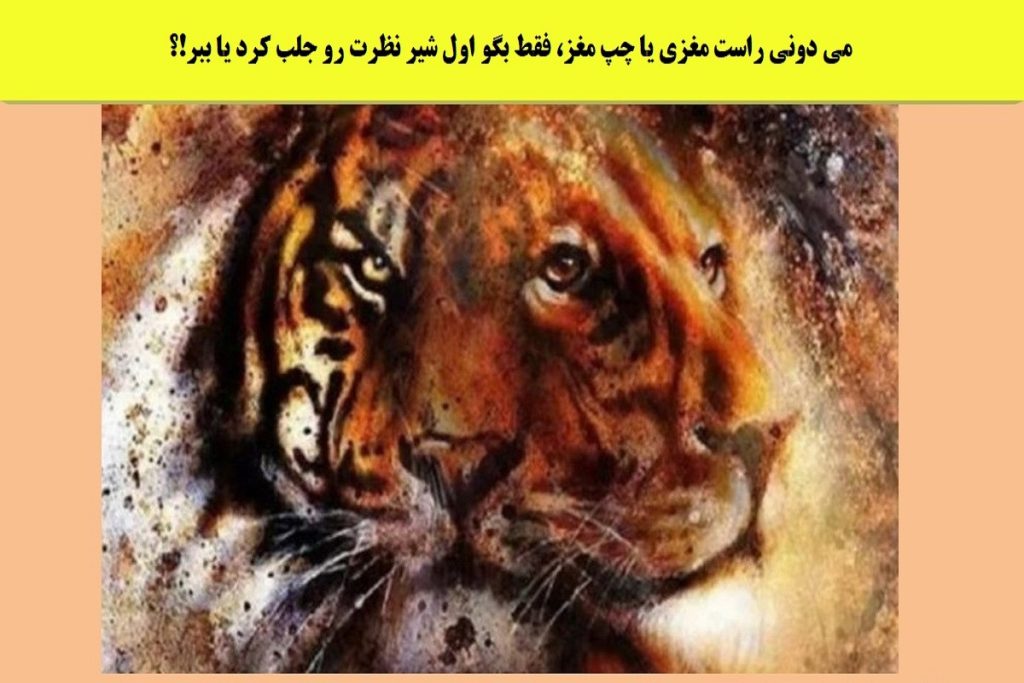 تست روانشناسی