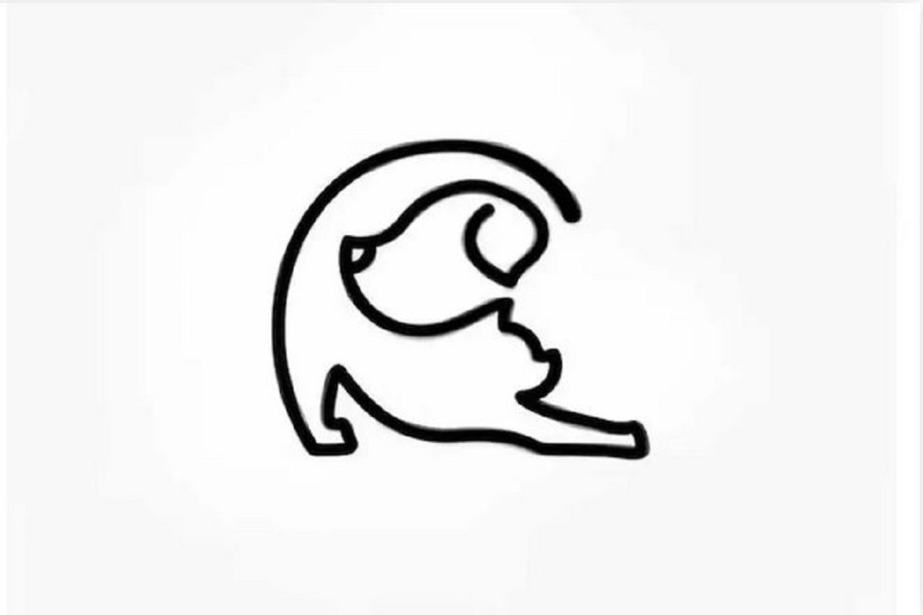 تست شخصیت شناسی