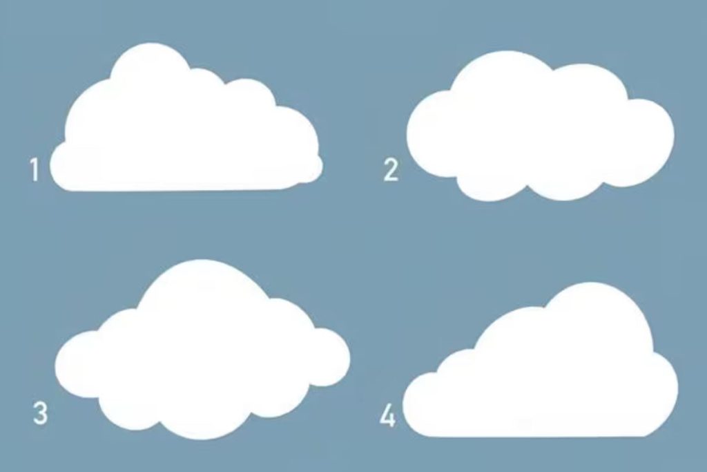 تست شخصیت شناسی