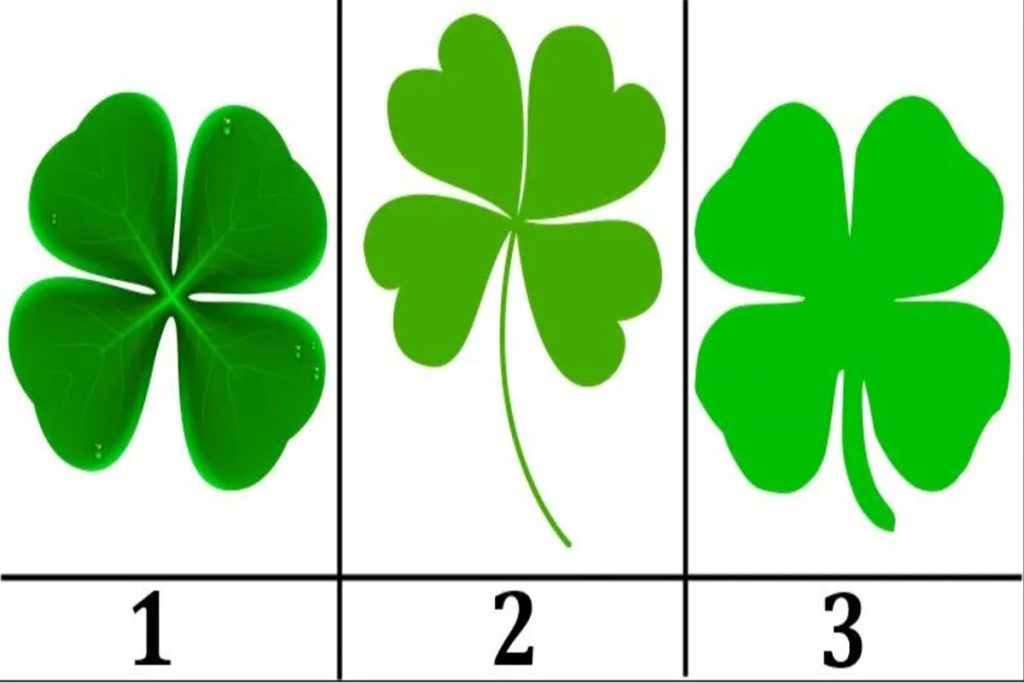 تست شخصیت شناسی