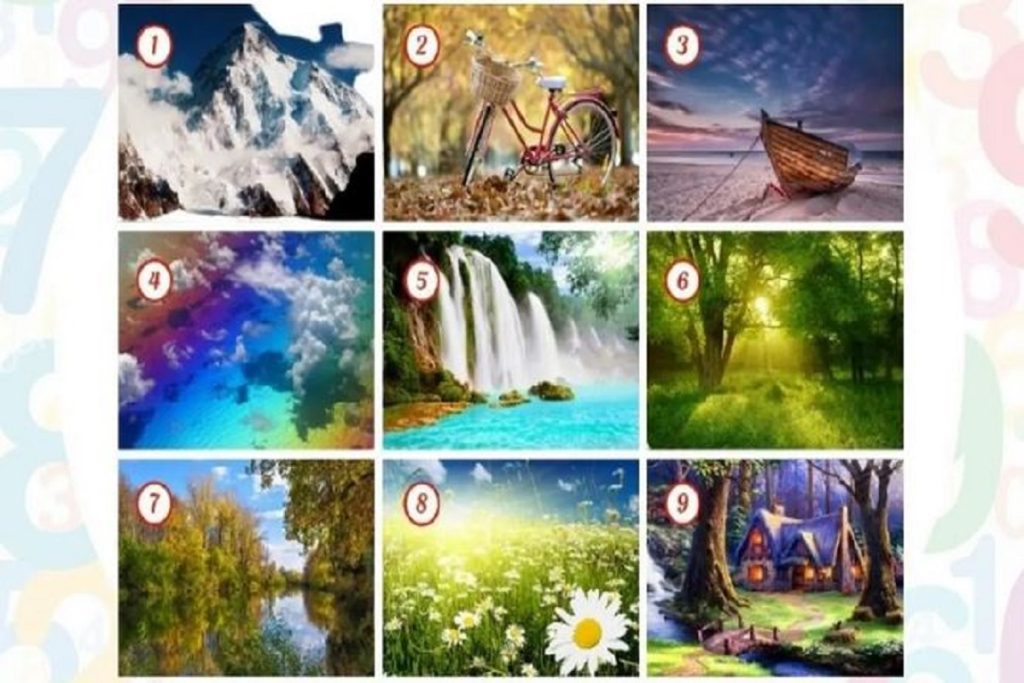 تست شخصیت شناسی