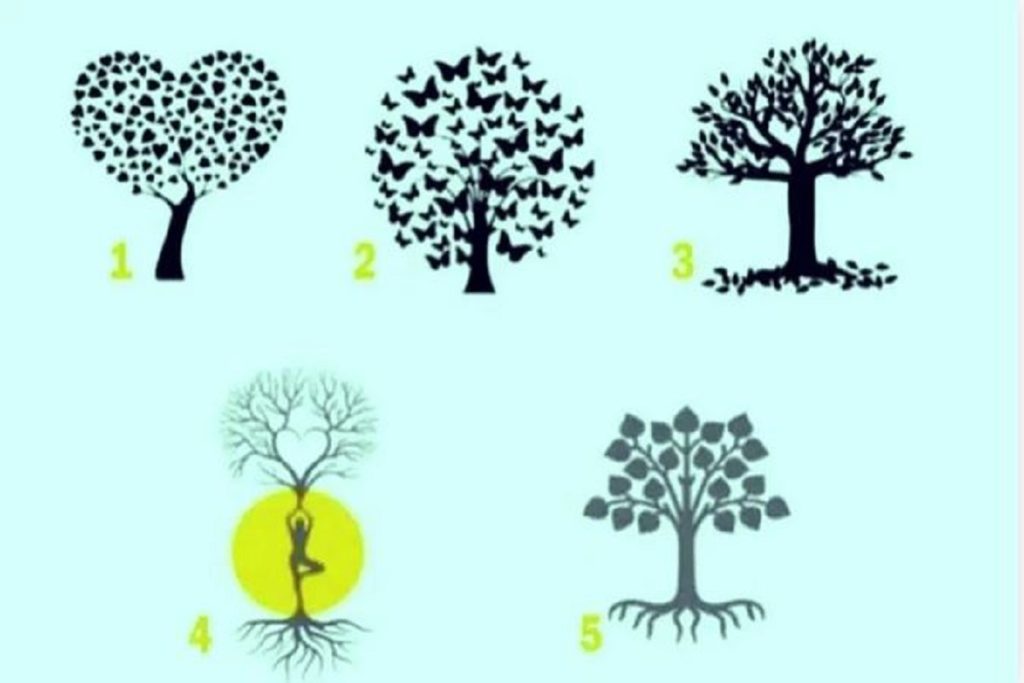 تست شخصیت شناسی