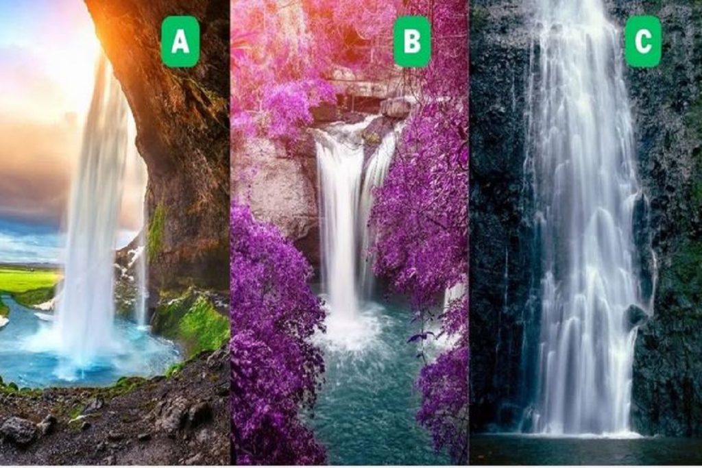 تست شخصیت شناسی