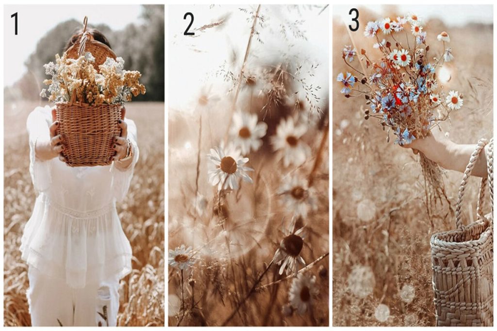 تست شخصیت شناسی