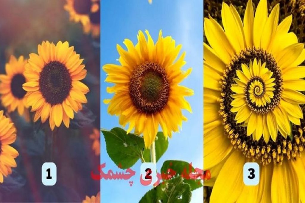 تست شخصیت شناسی