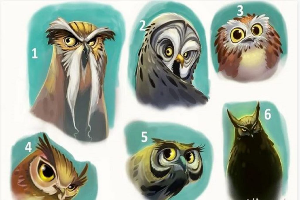 تست شخصیت شناسی